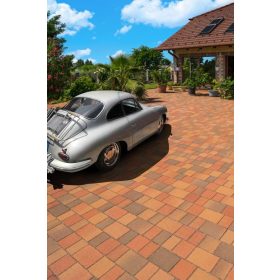 Barabás - Badacsony  térkő - őszilomb