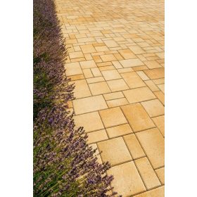 Barabás - Somló Trió térkő - homokkő