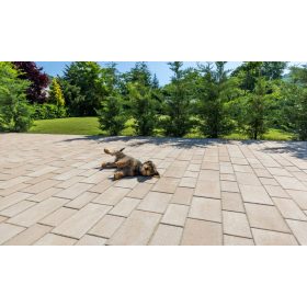 Leier Kaiserstein PATRIA térkő 